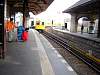 dsc05841.jpg