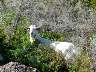 DSC042831.jpg